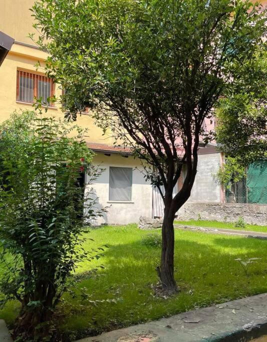 Appartamento Il Giardino Nascosto Omegna Esterno foto